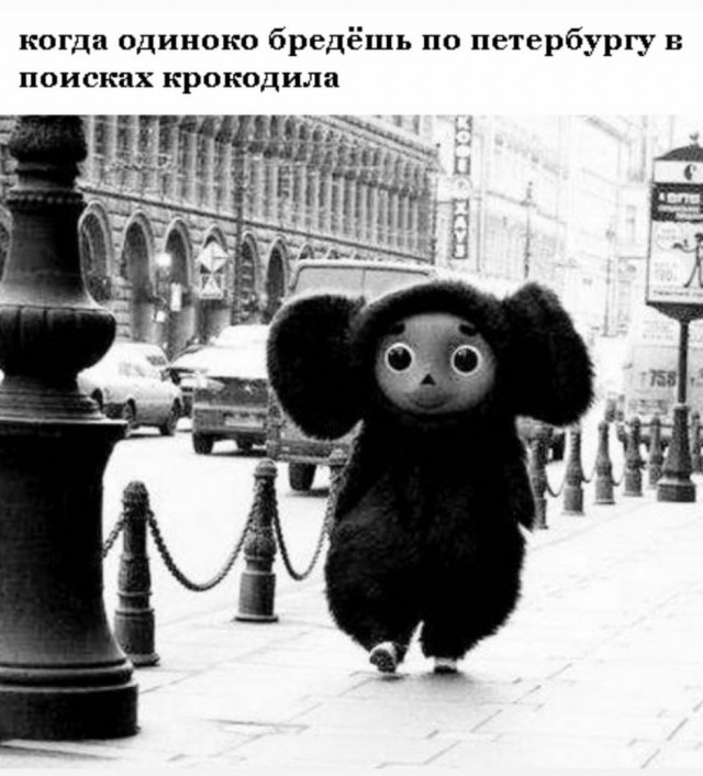 Подборка смешных картинок на ночь 31.10.22