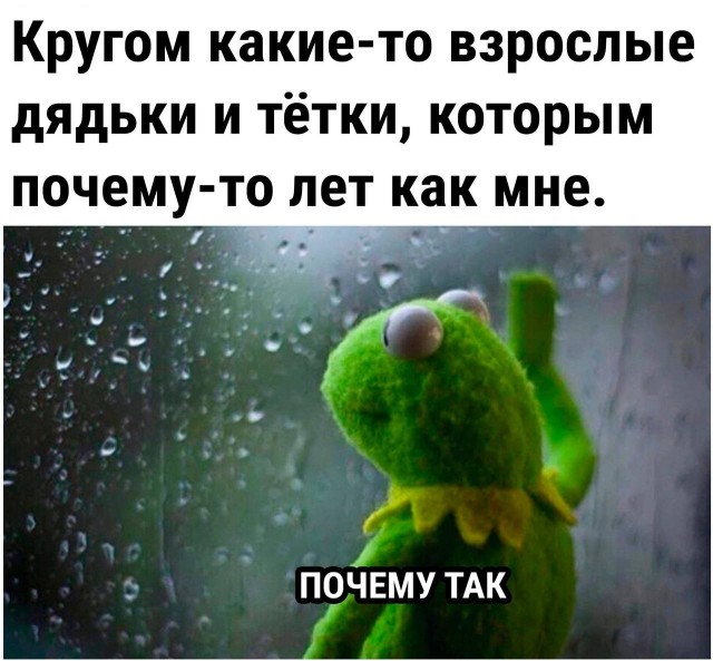 Немного мемчиков. Для взрослых. Часть 26