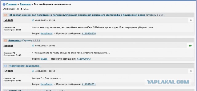 «Я сделал снимки тел погибших»: полная публикация показаний немецкого фотографа о Каунасской резне