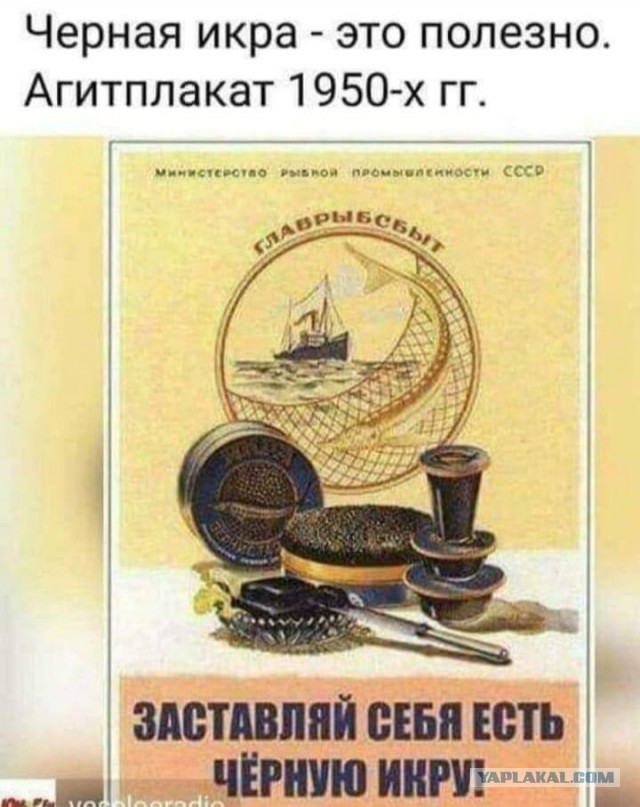 Победная поступь идиотизма по планете – том 5