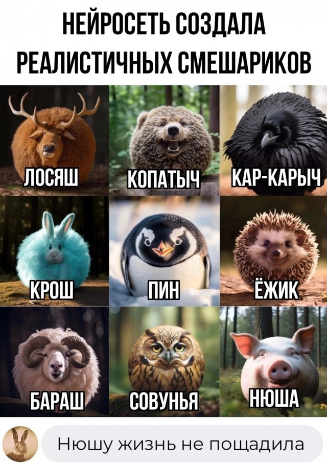 Картинки и мемы, всем хороших выходных