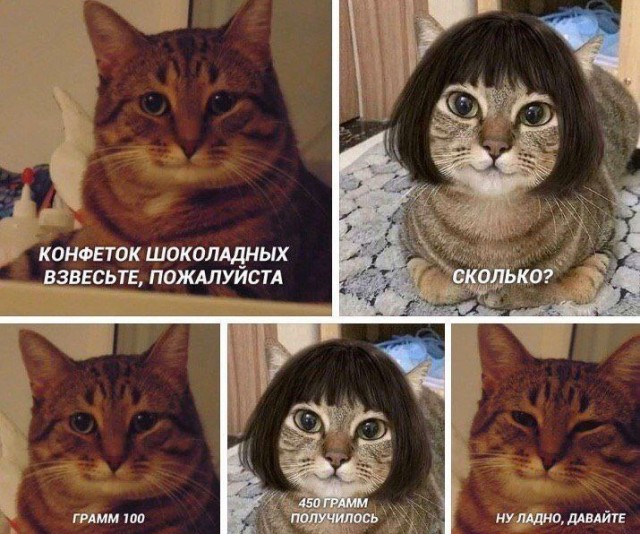 Нуштош 03.05.2024