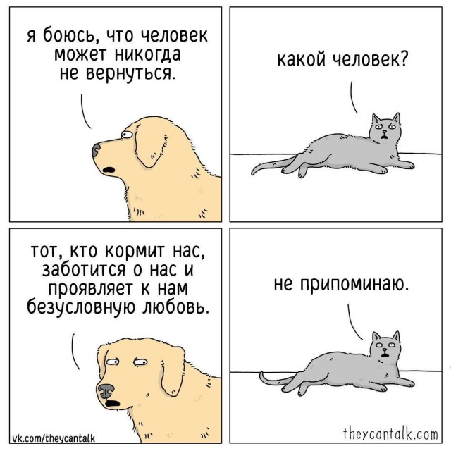Всего понемногу. От 07.04.2024