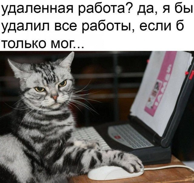 Отряд быстрого деградирования