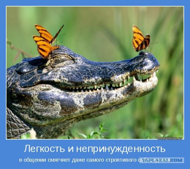 Больше позитива, друзья!