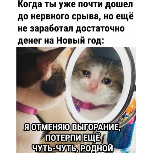 Весёлый полтишок 10.12.24