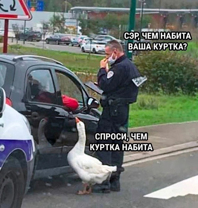 Так себе картинки 19.02.25