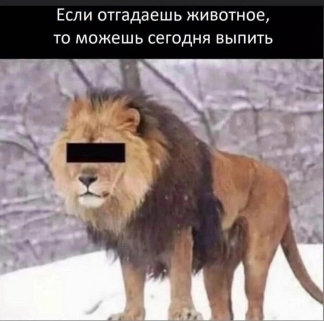 Веселые картинки в понедельник (07.04)
