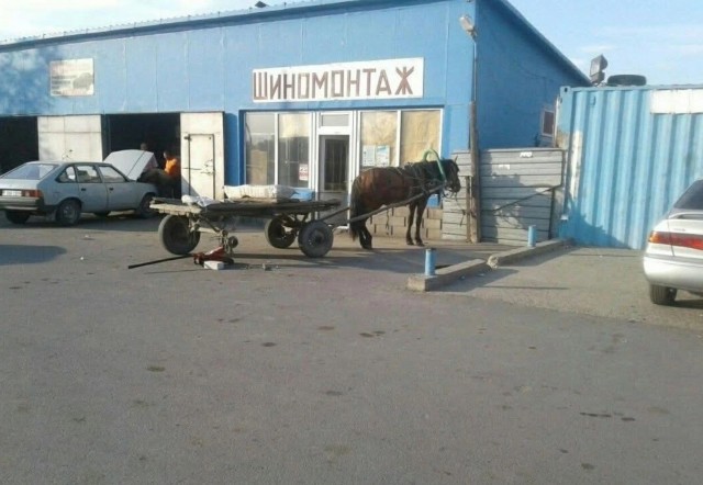Завалялось тут случайно немного забавных картинок
