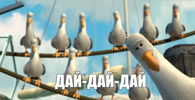 В Крыму заметили тех самых чаек из мультика «В поисках Немо».