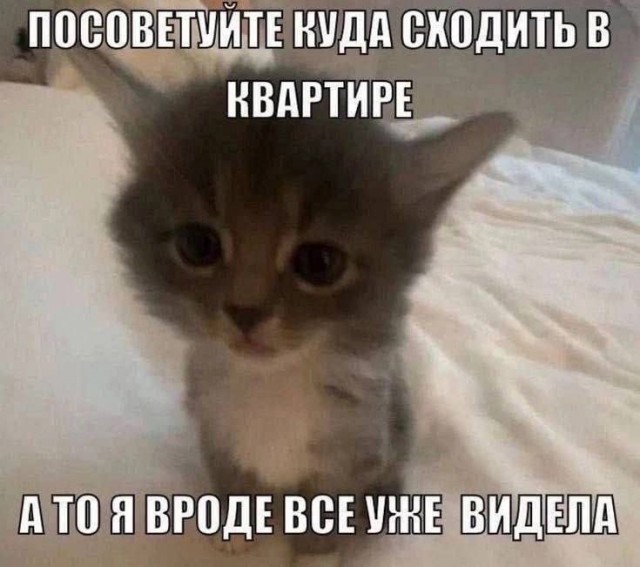 Картинок немного в среду утром