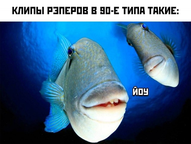 Суббота. Боянчики. Деградация. Красота