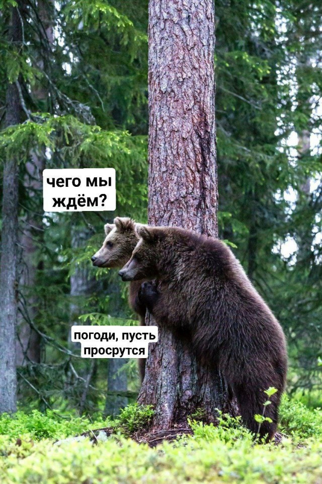 Картинки для деградации 116 (разной степени свежести)