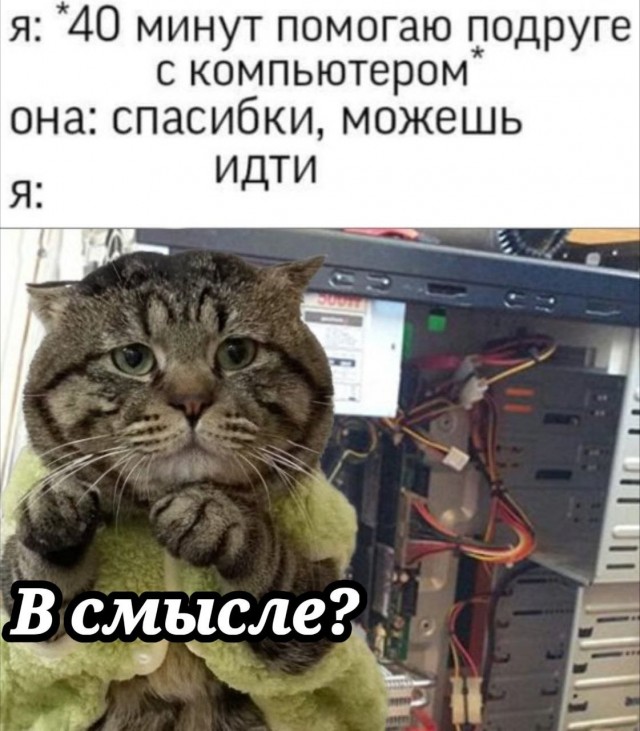Фотожаба: Грустный котик