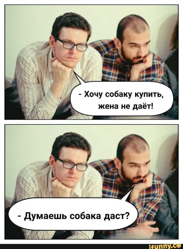 Веселые картинки в понедельник (24.08)