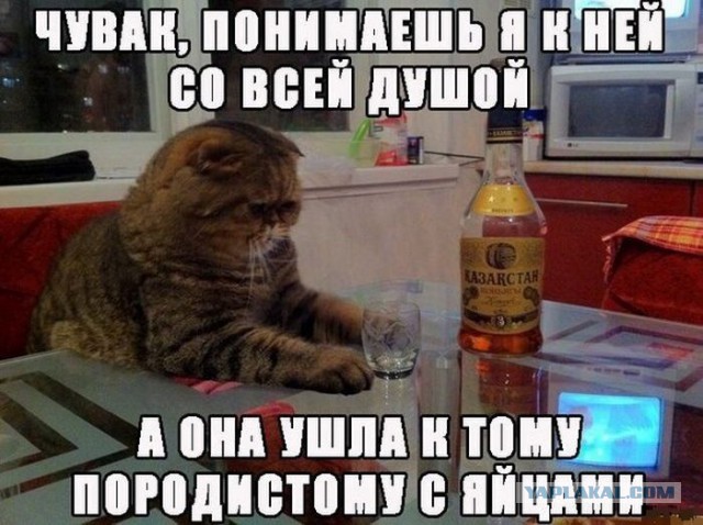 У моей жены виртуальный роман