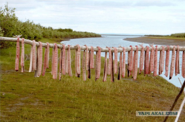 Кому юки отсыпать?