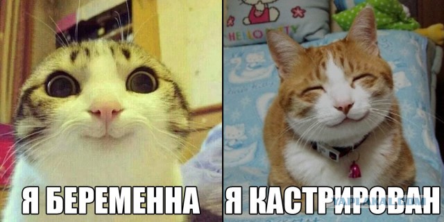Двойной поворот