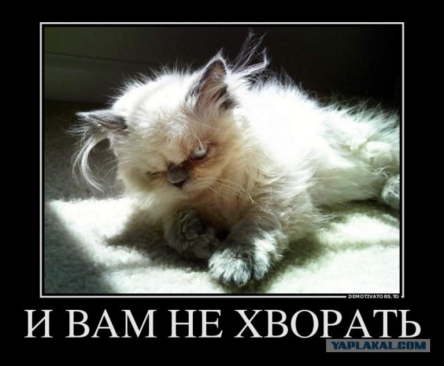 Сам ты Ми Ми Ми.