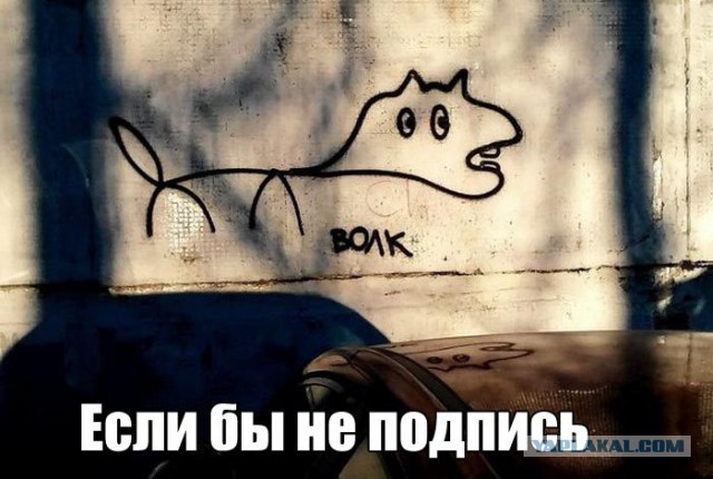 Картинки и приколы из сети