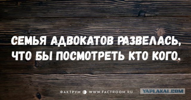 Высказывания из Интернета