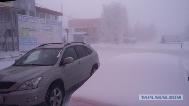 Холодно у нас. - 50