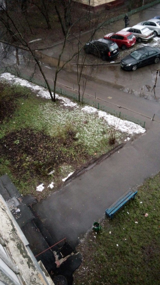 Ну, понеслась! Поздравления с Новым Годом по всей географии ЯПлакалъ!