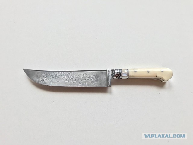 Продам Пчаки