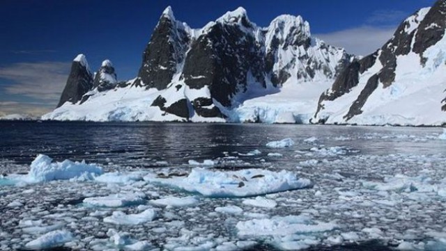 Чем отличается Арктика от Антарктики и Антарктиды и что у них общего?