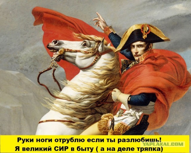 Подозреваемый в убийстве доцент СПбГУ в суде. Фоторепортаж