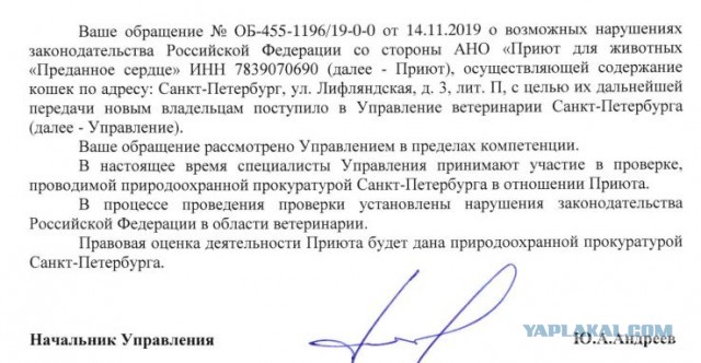 Помогите вернуть кота! Приют "Преданное сердце" украл кота и не отдает!-2