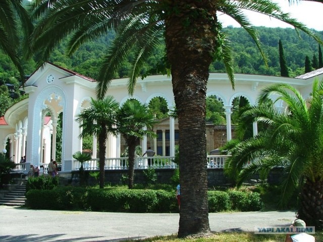 Абхазия (49 фото)