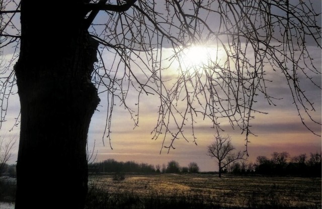 Плёночная фотография. Хобби