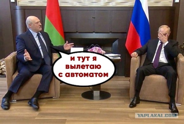 Лу и Пу: кадры со встречи Путина и Лукашенко растащили на мемы и фотожабы