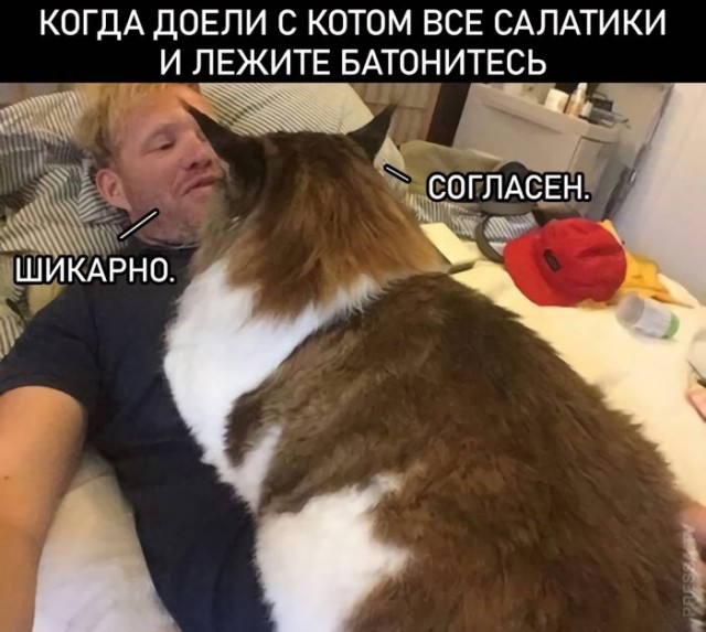 Картинки и мемы для настроения 006