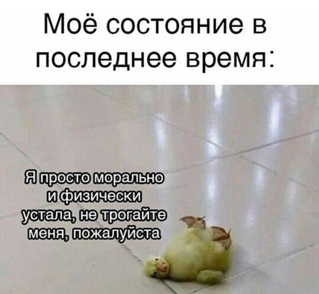 Так себе картинки 13.03.21