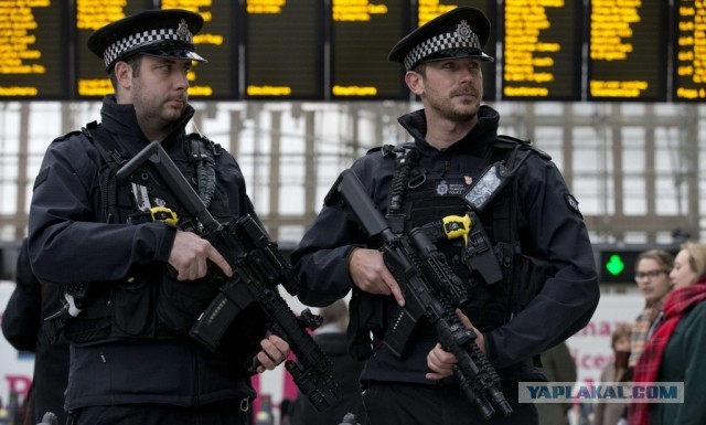 Россияне поддержали идею привлекать к работе заключенных вместо мигрантов