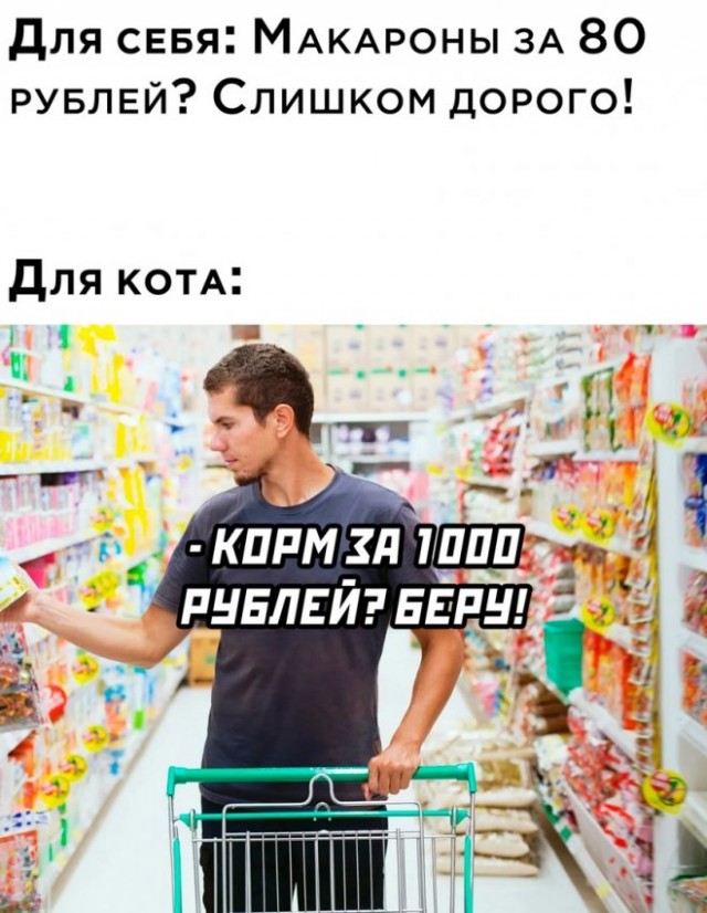 Немного картинок."Колбасный ветер". Август