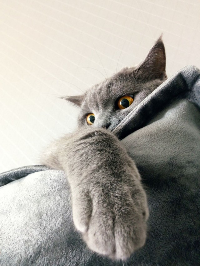 Танцор диско
