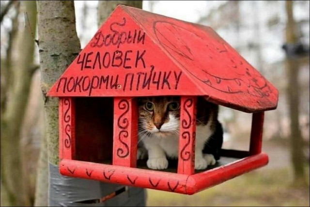 Прикольные и просто красивые картинки 02.12.2022