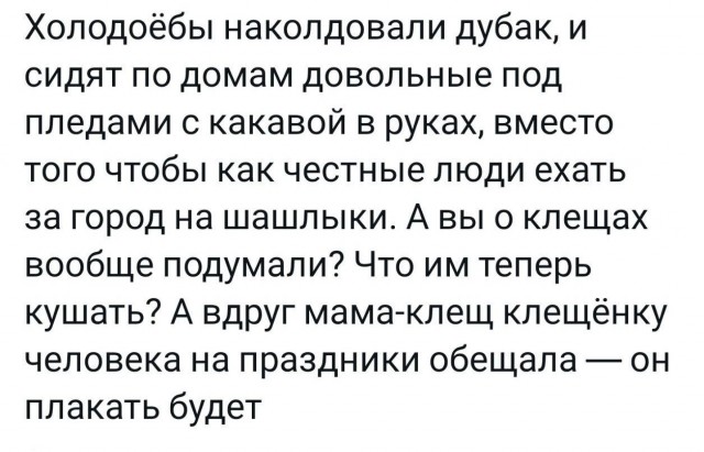 Всего понемногу 24.05