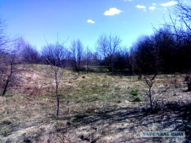 Просто смотреть