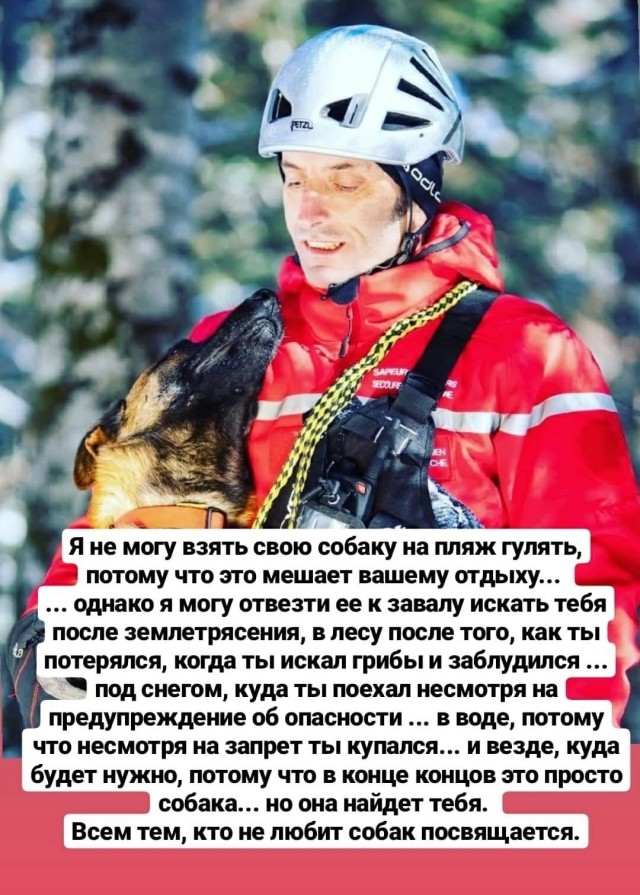 Сегодня о том, как городской кот в деревню переехал⁠⁠