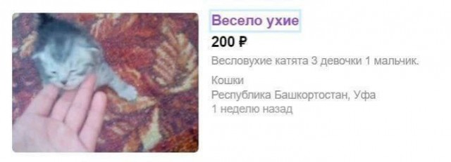 Всего понемногу. От 20.12