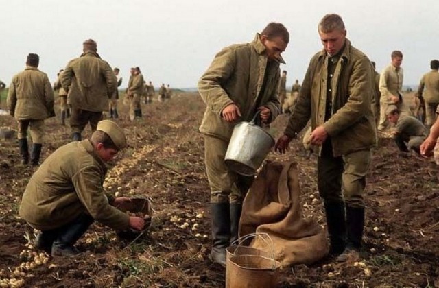 Советская армия в «битвах за урожай»