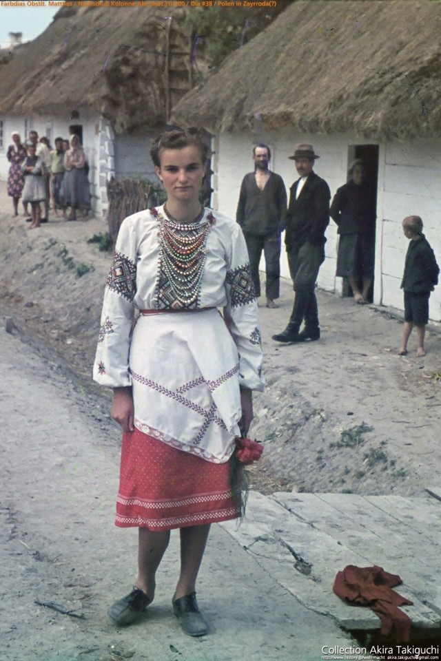Цвет войны. Фотоподборка