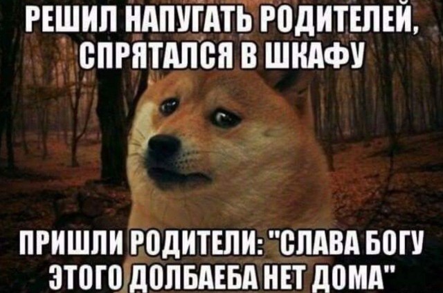 19152888.jpg
