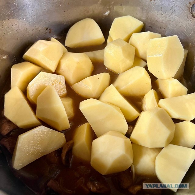 Картофель, тушеный с грибами