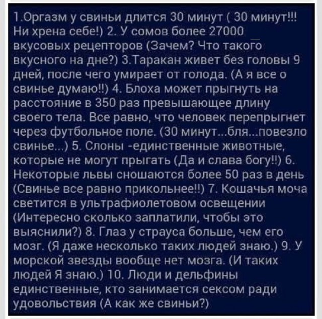 Картинки разные с надписями и без