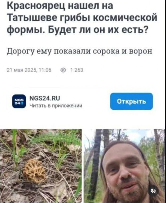 Хорошо собирать грибы, когда есть помощники, коллеги.